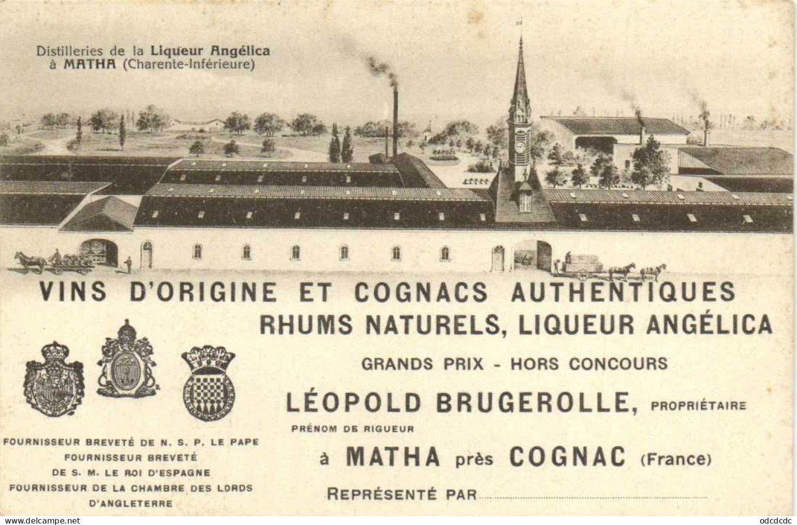 Distillerie De La Liqueur Angelica à MATHA  Vins D' Origine Et Cogacs Authentiques Rhums Naturels Liqueur Angelica - Advertising