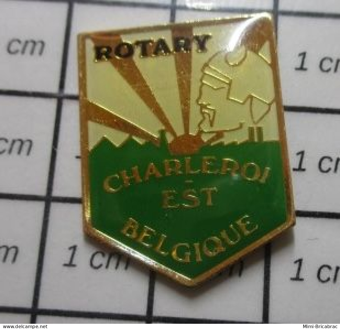 1222 Pin's Pins / Beau Et Rare : ASSOCIATIONS / ROTARY CLUB CHARLEROI EST BELGIQUE - Asociaciones