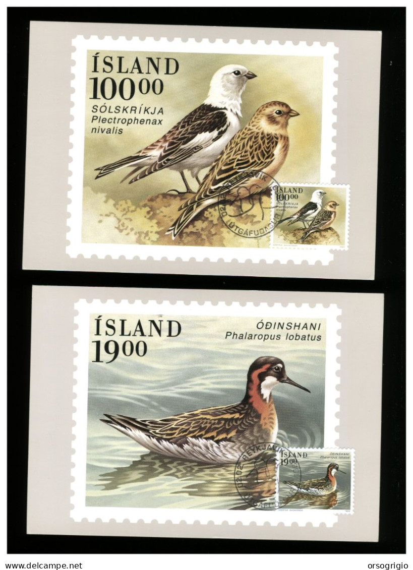ISLAND - Cartolina Maximum - BIRDS - Cartes-maximum