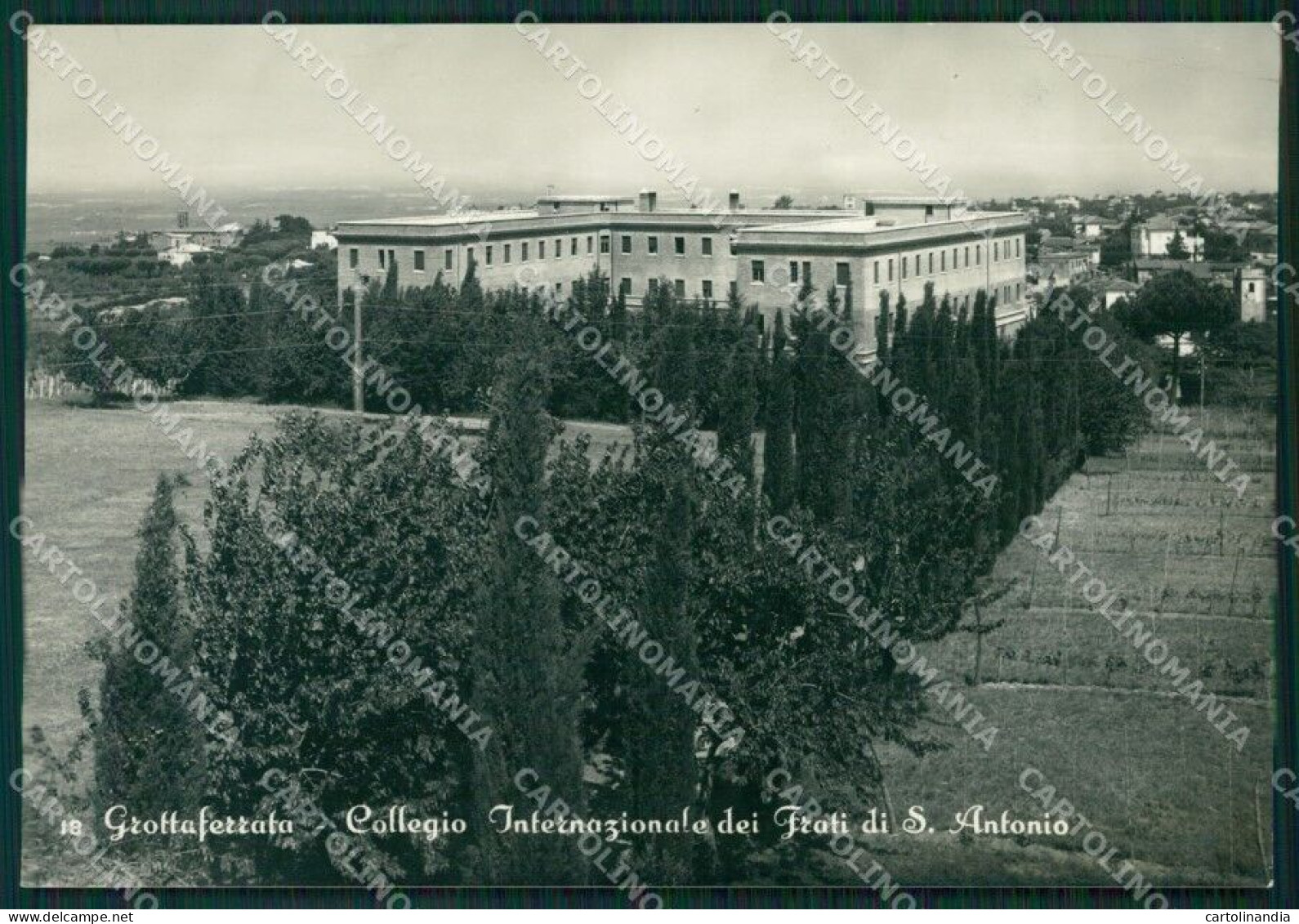 Roma Grottaferrata Foto FG Cartolina ZKM8052 - Sonstige & Ohne Zuordnung