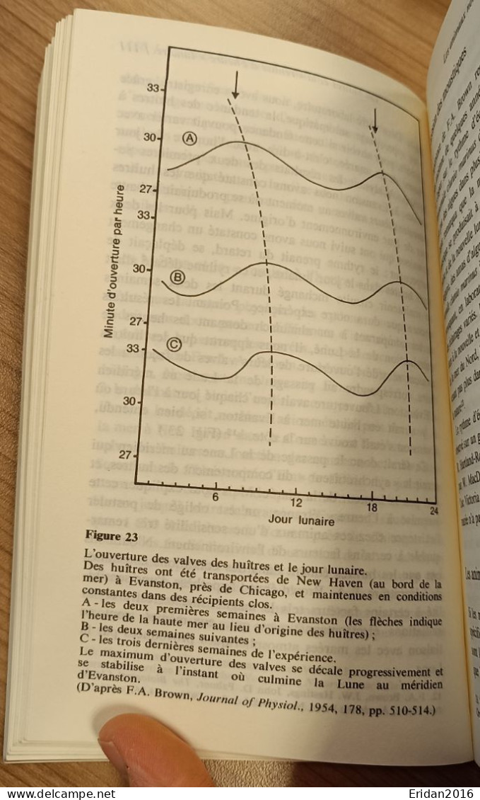 Rythmes Biologiques, Rythmes Cosmiques :  Michel Gauquelin  : FORMAT DE POCHE - Esotérisme