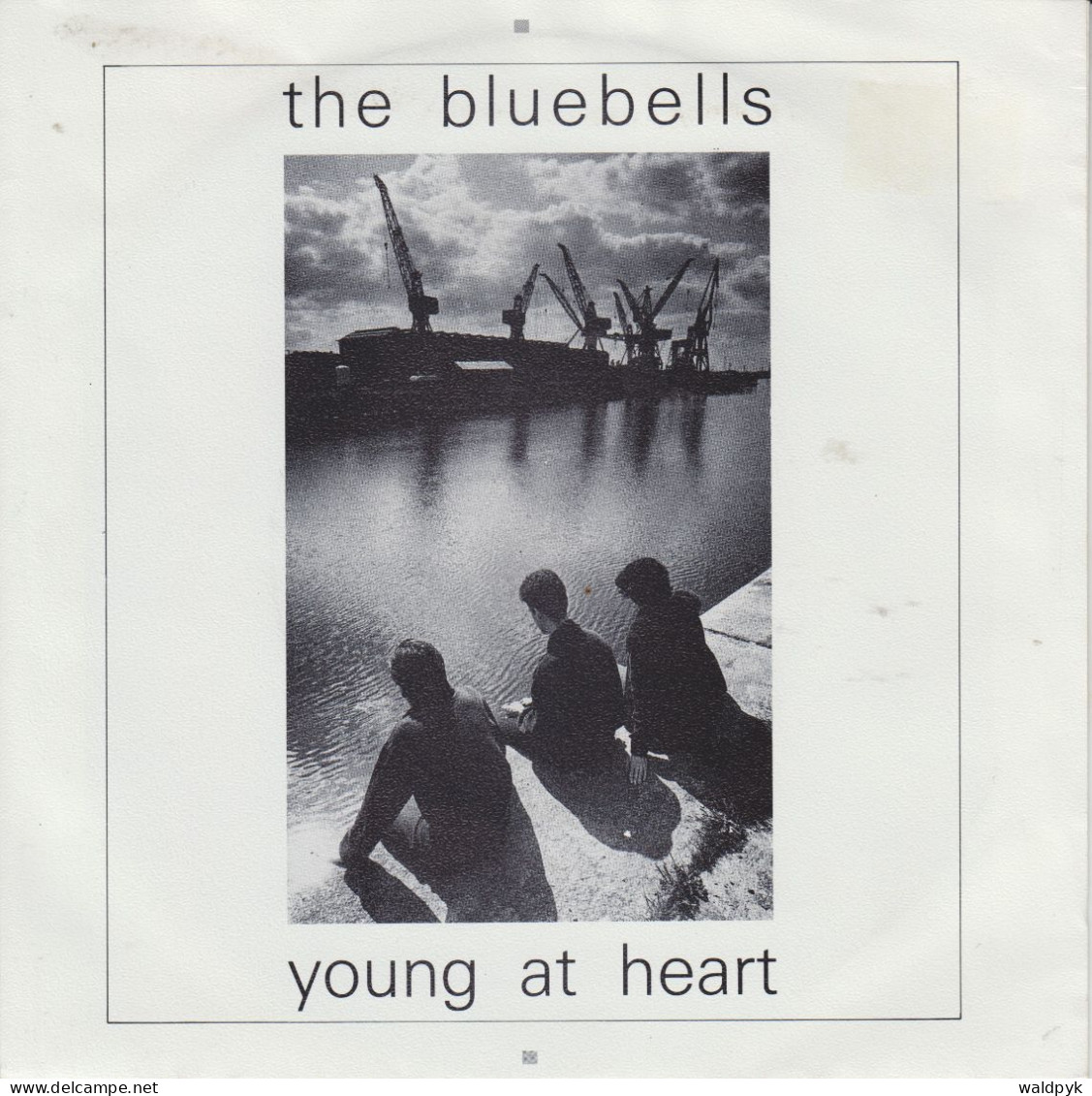 THE BLUEBELLS - Young At Heart - Sonstige - Englische Musik