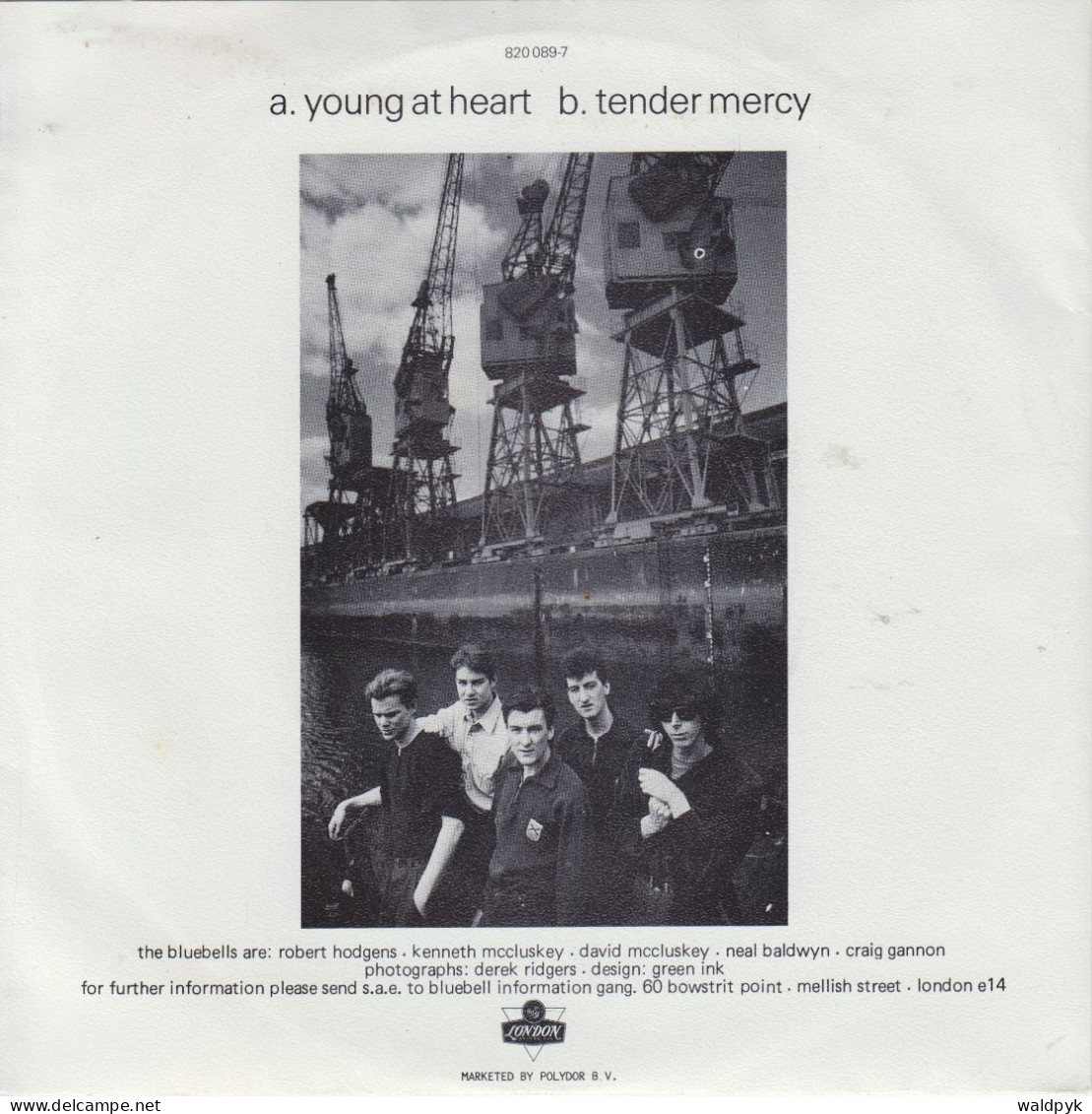THE BLUEBELLS - Young At Heart - Other - English Music