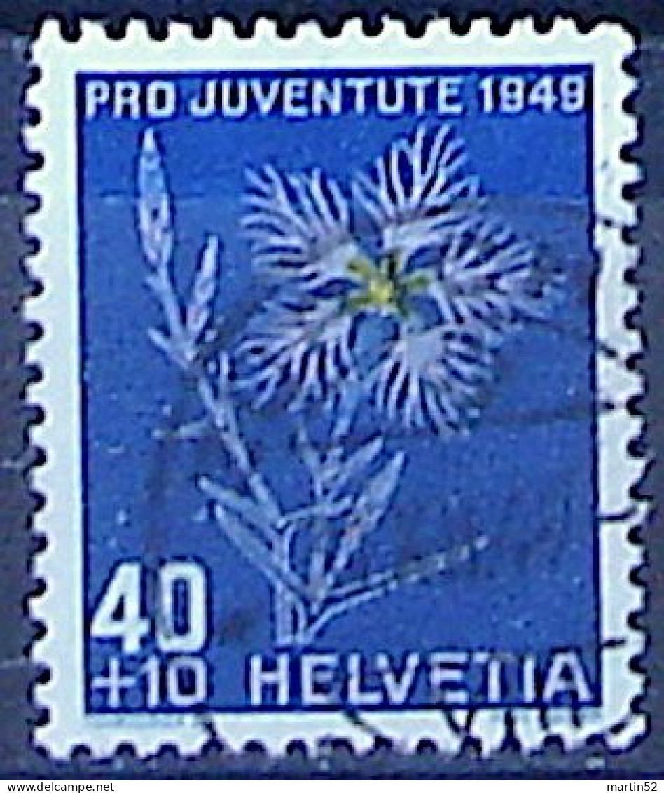 Schweiz Suisse Pro Juventute 1949: Prachtnelke Zu WI 132 Mi 544 Yv 496 Mit Voll-⊙ ZÜRICH 4.XII.49 (Zumstein CHF 12.00) - Used Stamps