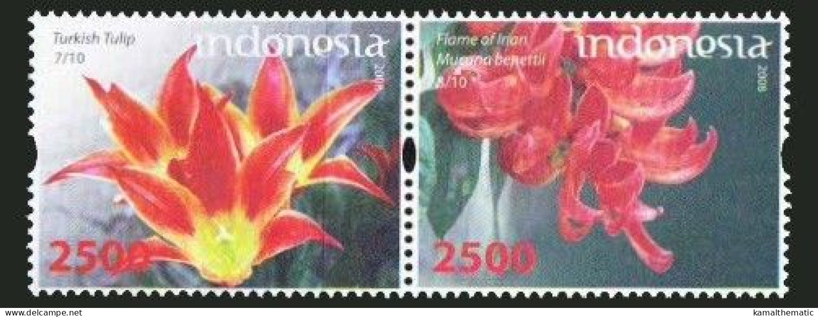 Indonesia Turkey 2008 Joint Issue, MNH 2v, Flowers TULIP Accent, Red Jade Wine - Emissions Communes