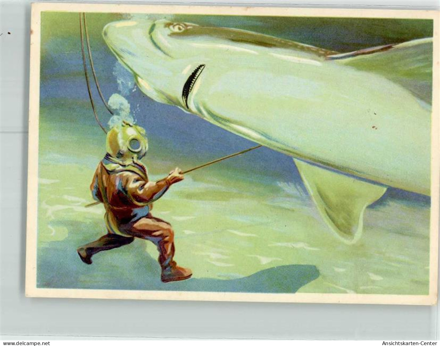 39434604 - Taucher Im Kampf Mit Einem Hai Sanella Bilder Sammelwerk Mittel Und Suedamerika Nr.79 - Fish & Shellfish