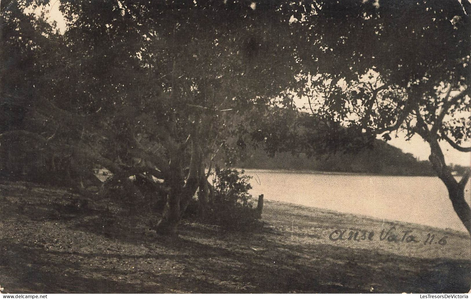 CARTE PHOTO - Nouvelle-Calédonie - Lac - Arbres - Paysage - Carte Postale Ancienne - Neukaledonien