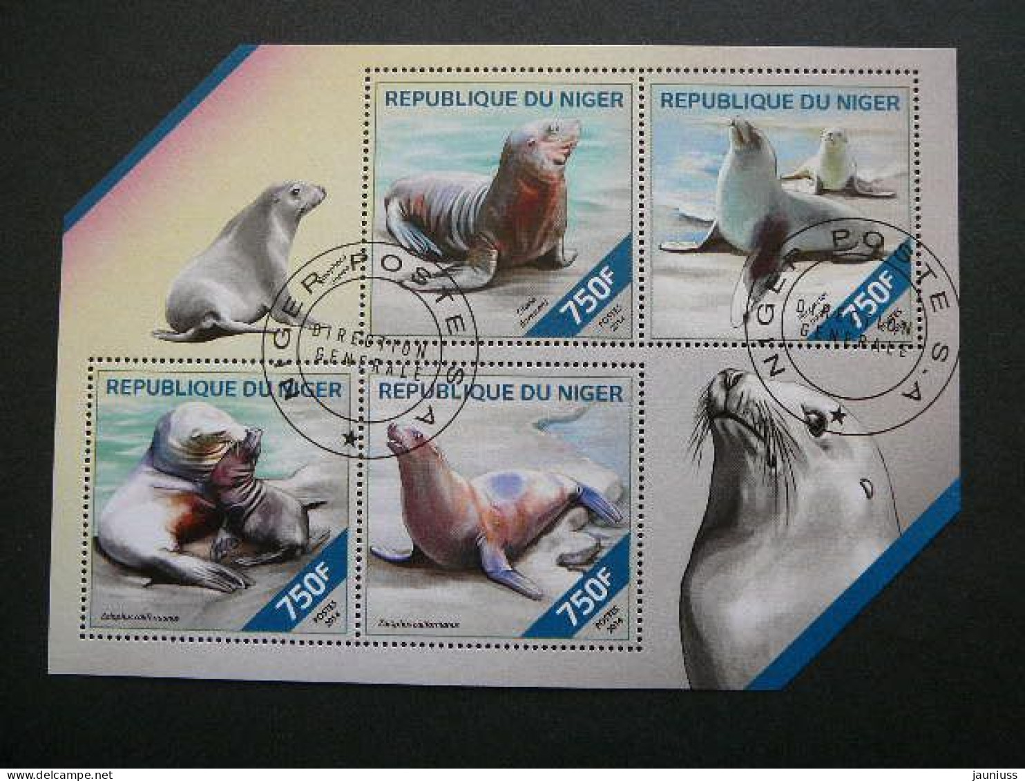 Arctocephalus Seebären # Niger 2014 Used S/s #820 Seals Marine Mammals - Sonstige & Ohne Zuordnung