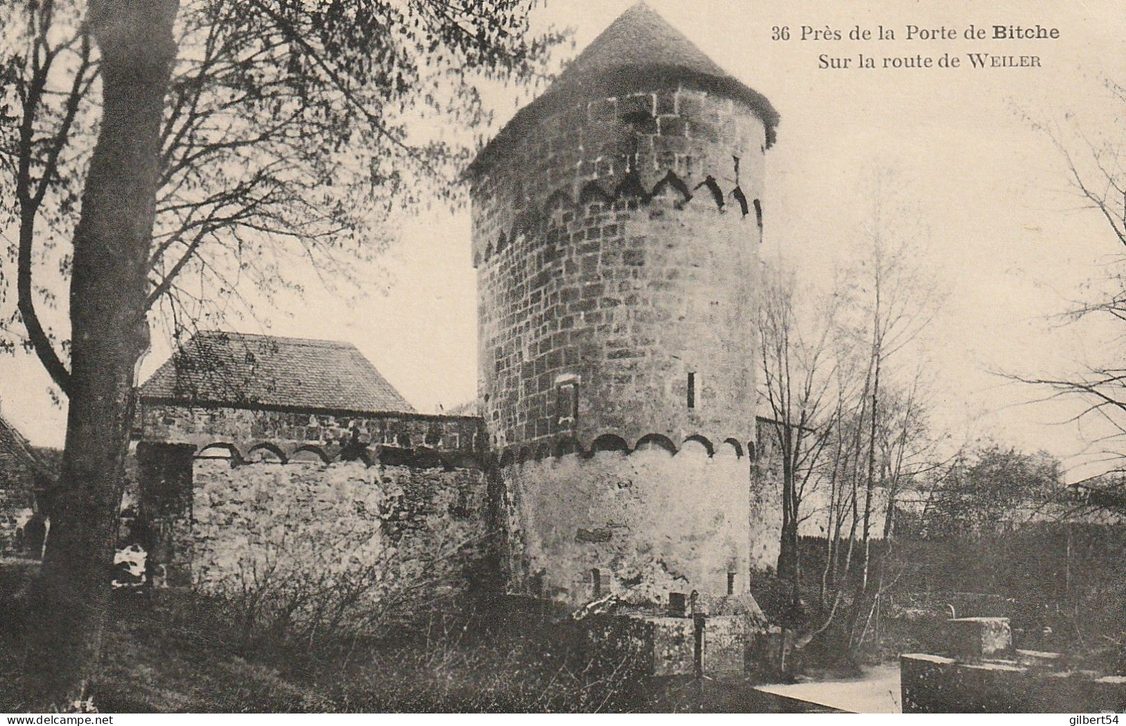 WISSEMBOURG -67- Près De La Porte De Bitche, Sur La Route De Weiler. - Wissembourg