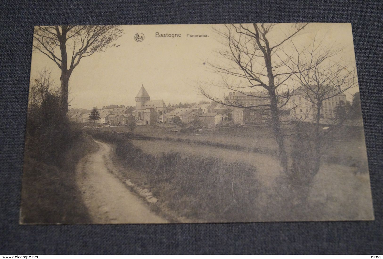 Bastogne,Panorama, Très Belle Carte Ancienne Pour Collection - Bastenaken