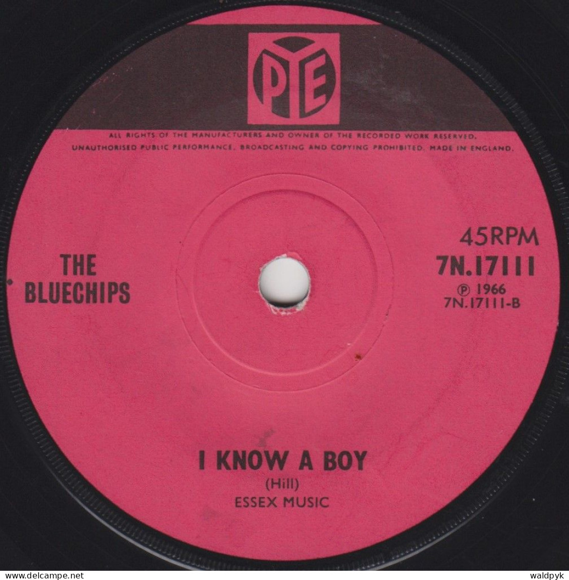 THE BLUECHIPS - Some Kind Of Lovin' - Other - English Music