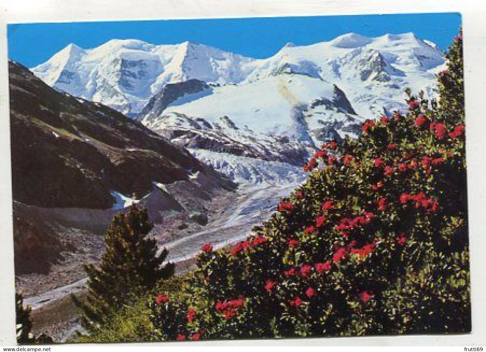 AK 213554 SWITZERLAND - Berninagebiet - Piz Palü Und Bellavista - Autres & Non Classés