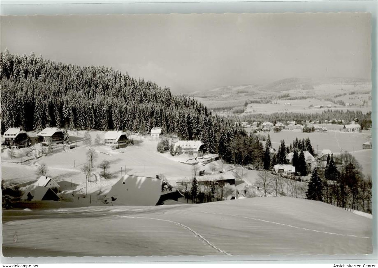 39722004 - Hinterzarten - Hinterzarten