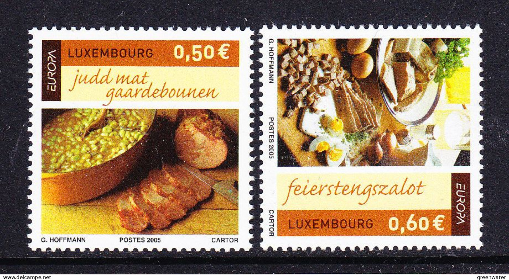 Europa Cept 2005 Luxemburg 2v ** Mnh (59561C) - 2005