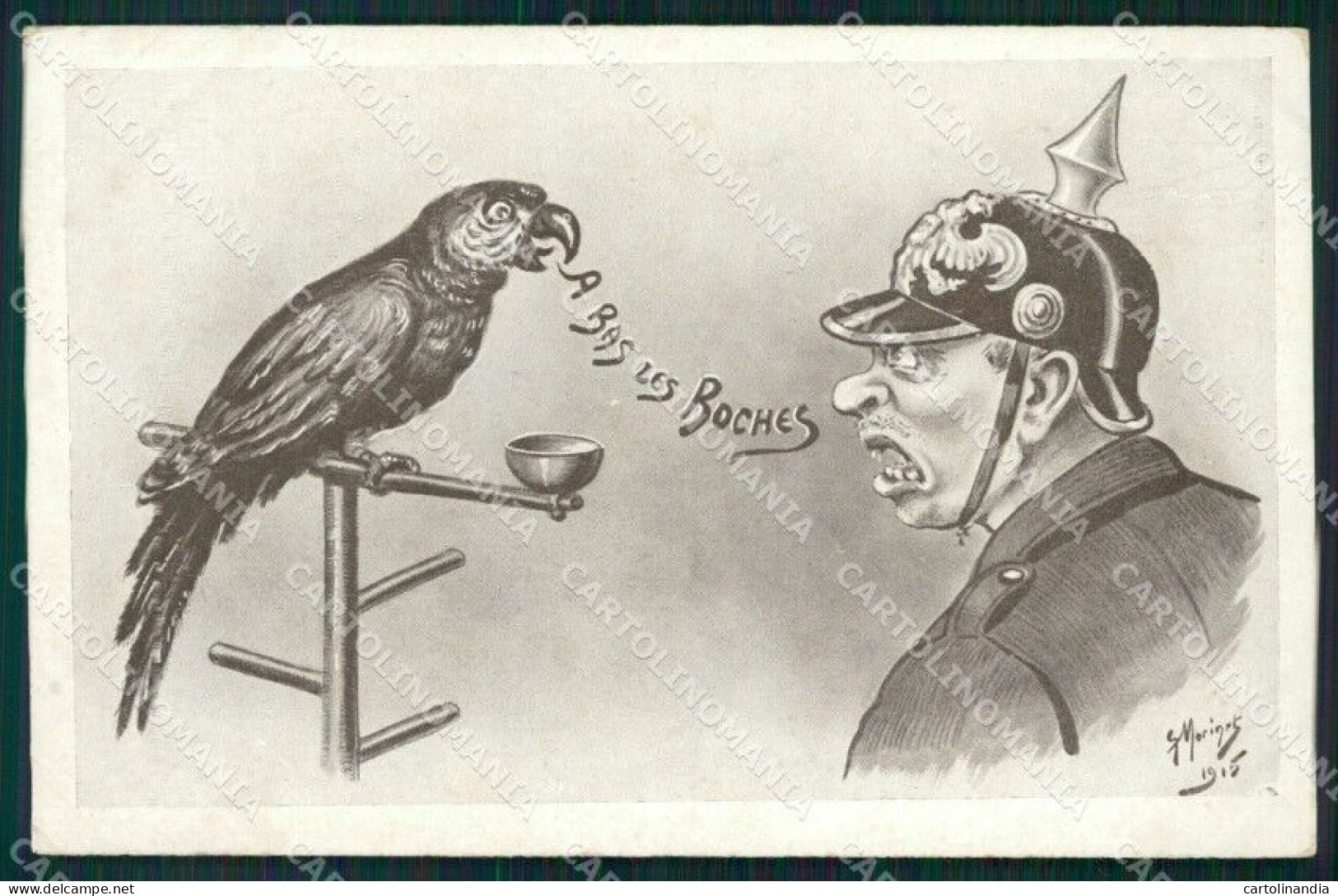 WWI WW1 Propaganda Patriotic War Humor Anti German Parrot Postcard XF3306 - Autres & Non Classés