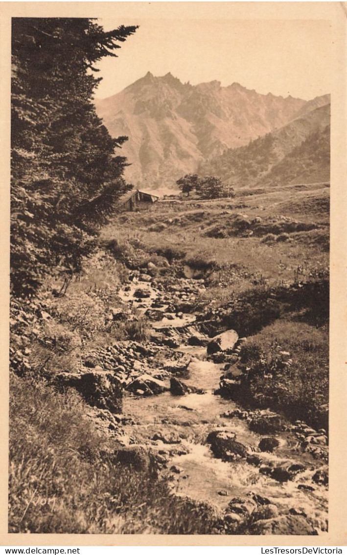 FRANCE - Environs Du Mont Dore - Au Pied Du Sancy - Carte Postale Ancienne - Le Mont Dore