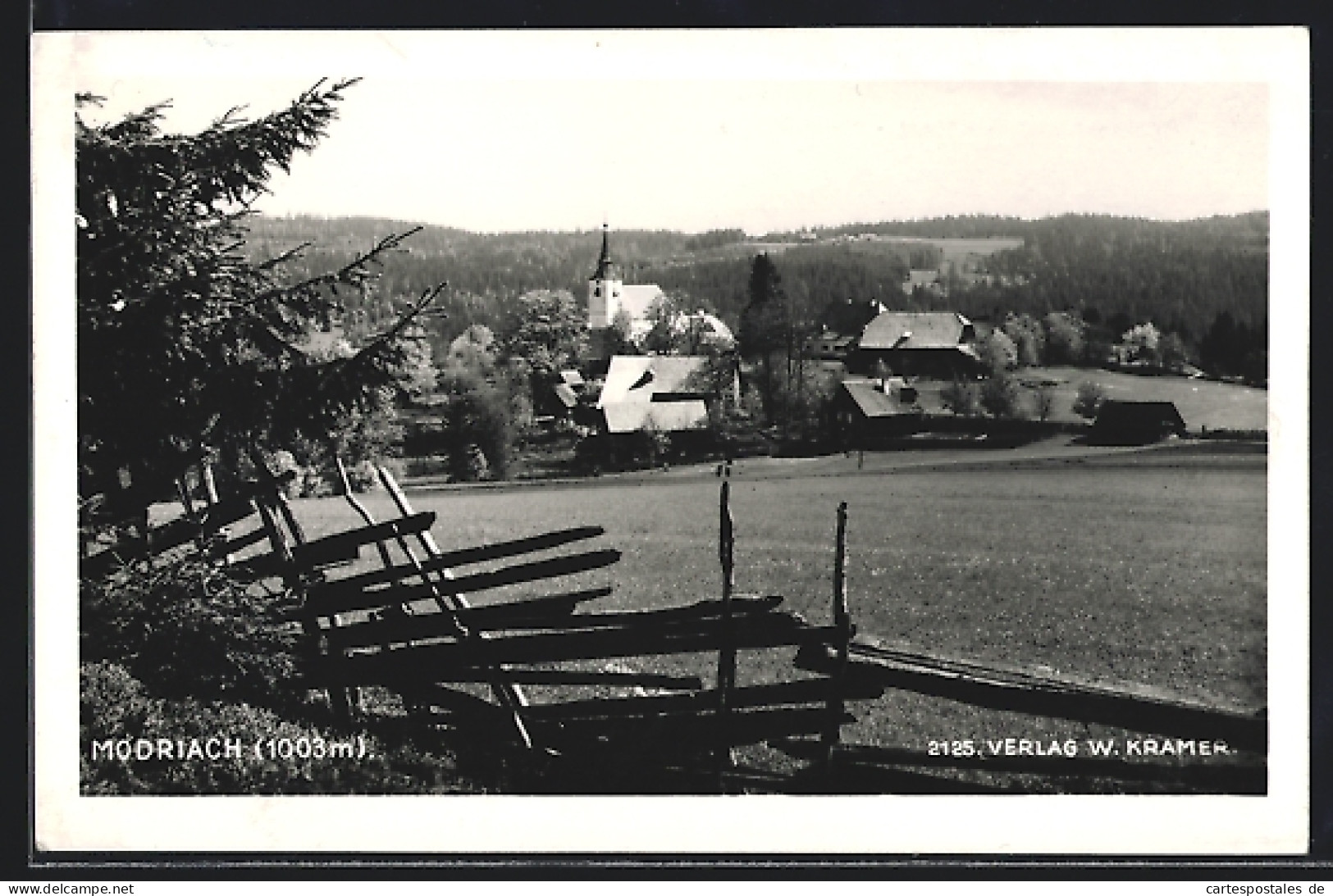 AK Edelschrott, Modriach, Teilansicht Mit Feld, Zaun Und Tanne  - Sonstige & Ohne Zuordnung