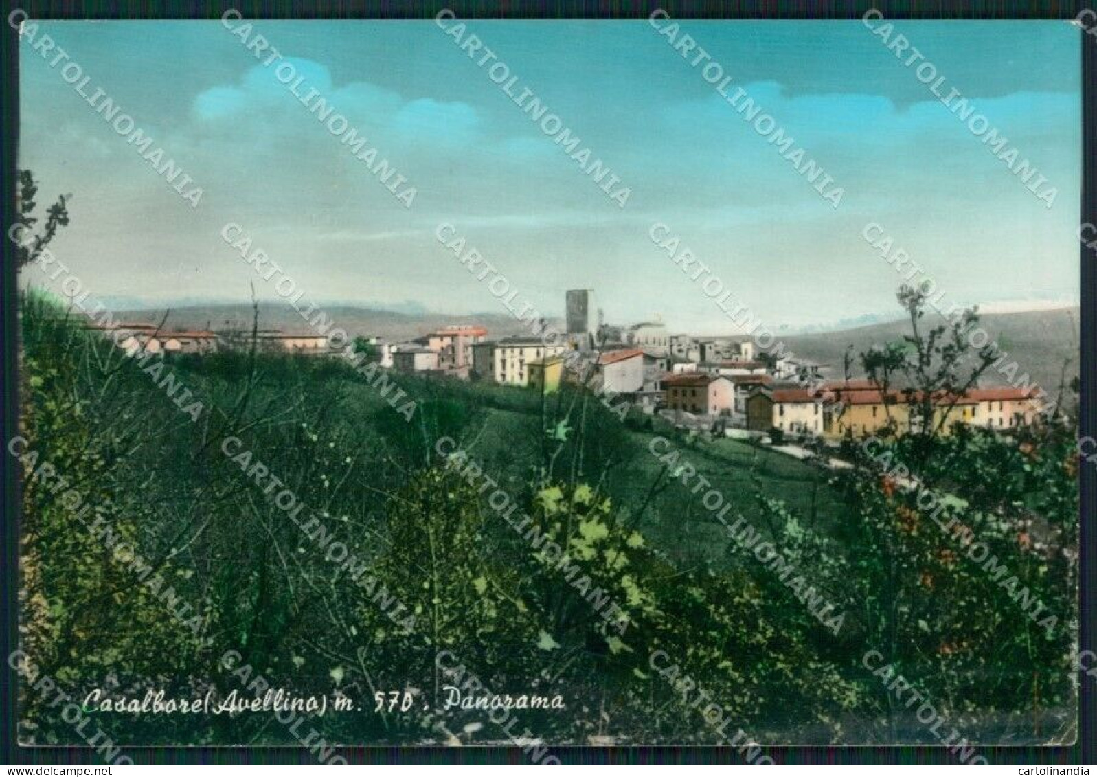 Avellino Casalbore PIEGHINE ABRASA Foto FG Cartolina ZKM7718 - Avellino