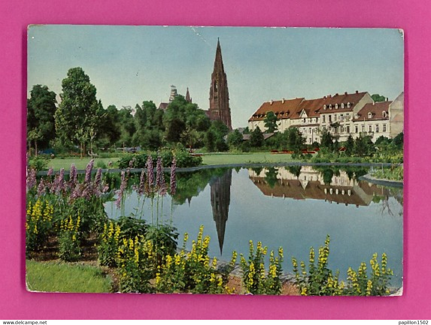 E-Allemagne-161D FREIBURG SCHWARZWALD, Le Jardin Botanique Avec La Cathédrale, BE - Freiburg I. Br.