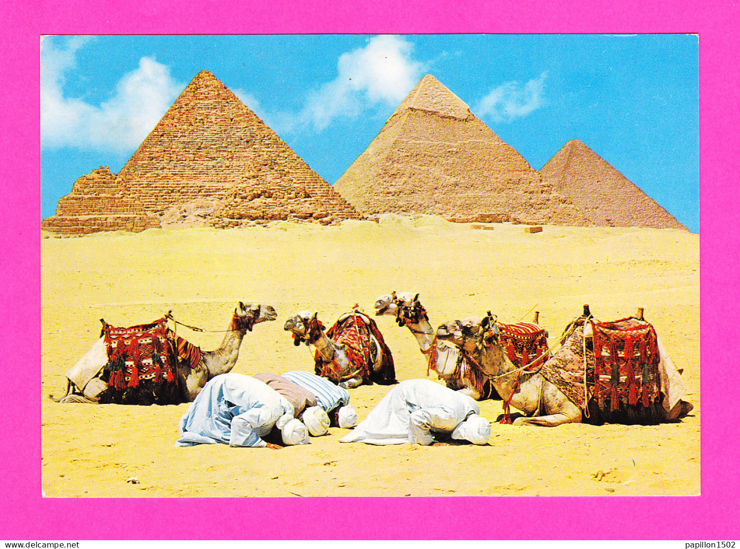 E-Egypte-80P2  LE CAIRE, GIZEH, La Prière Près Des Pyramides, Dromadaires, Animation, TBE - Guiza