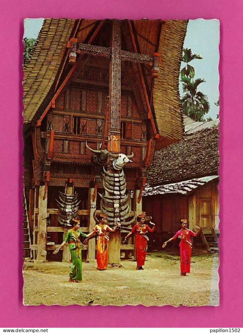 E-Indonésie-03PH Traditional Dancer With Traditional Toraja House As Background, Jeunes Filles, BE - Indonesia