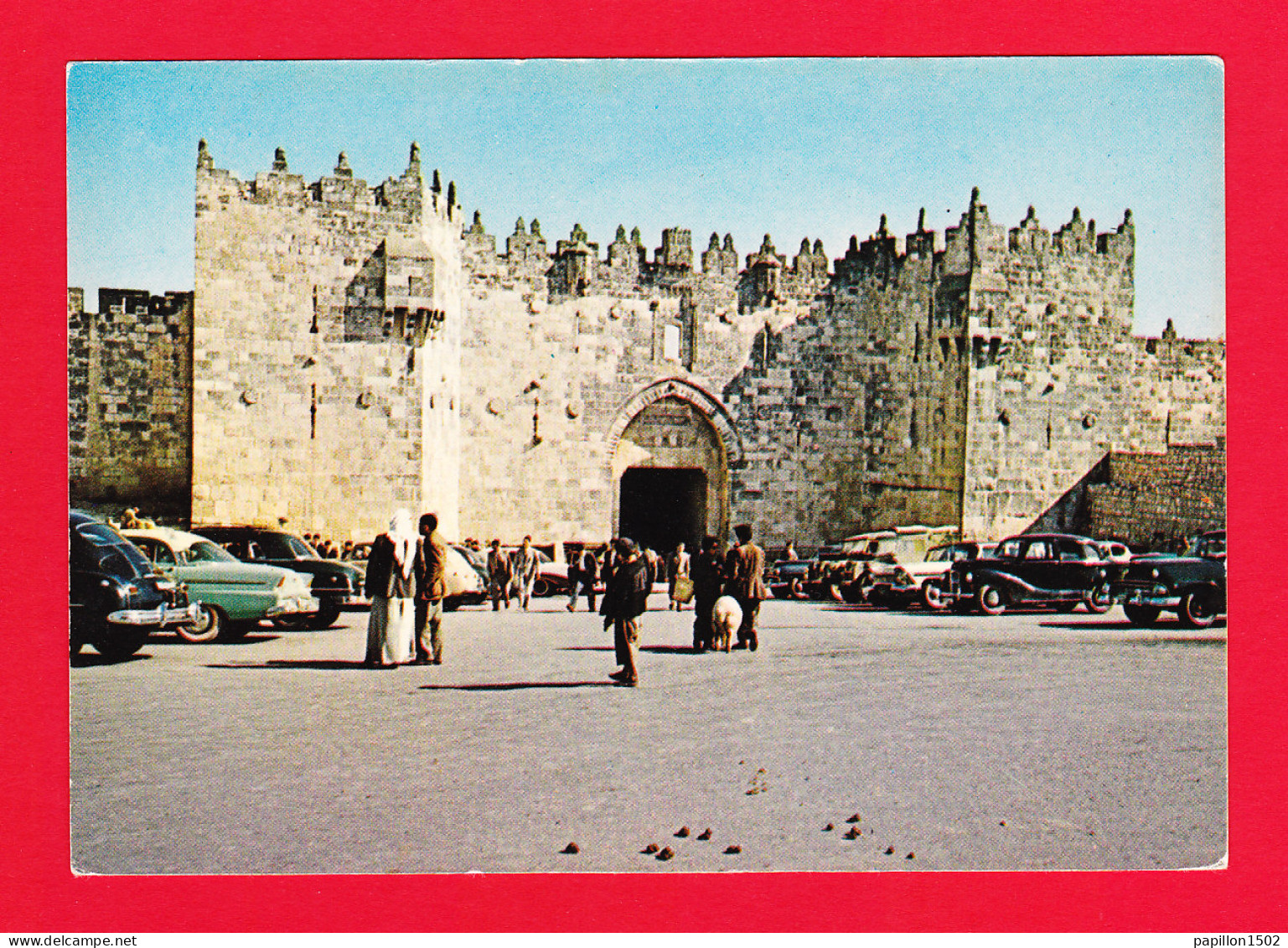 E-Israel-86PH5  JERUSALEM, La Vieille Ville, La Porte De Damascus, Animation, Voir Les Vieilles Voitures, BE - Israele