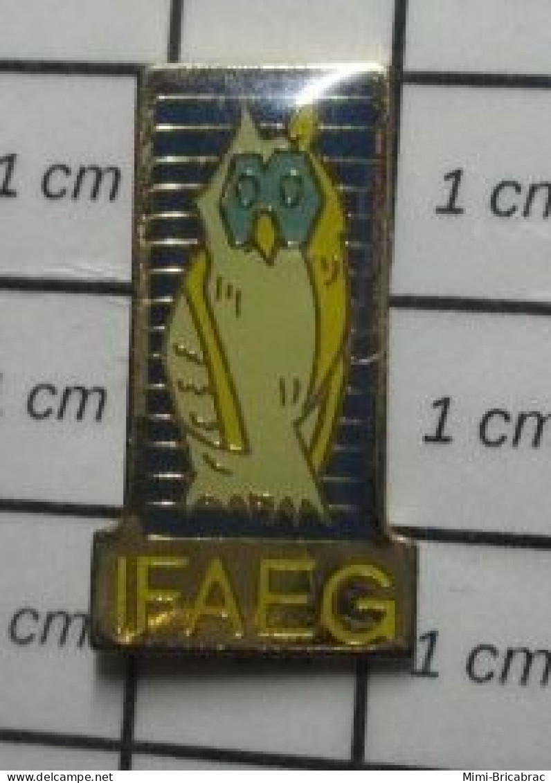 1118C Pin's Pins / Beau Et Rare : ANIAMUX / IFAEG OISEAU NOCTURNE RAPACE HIBOU CHOUETTE - Animaux