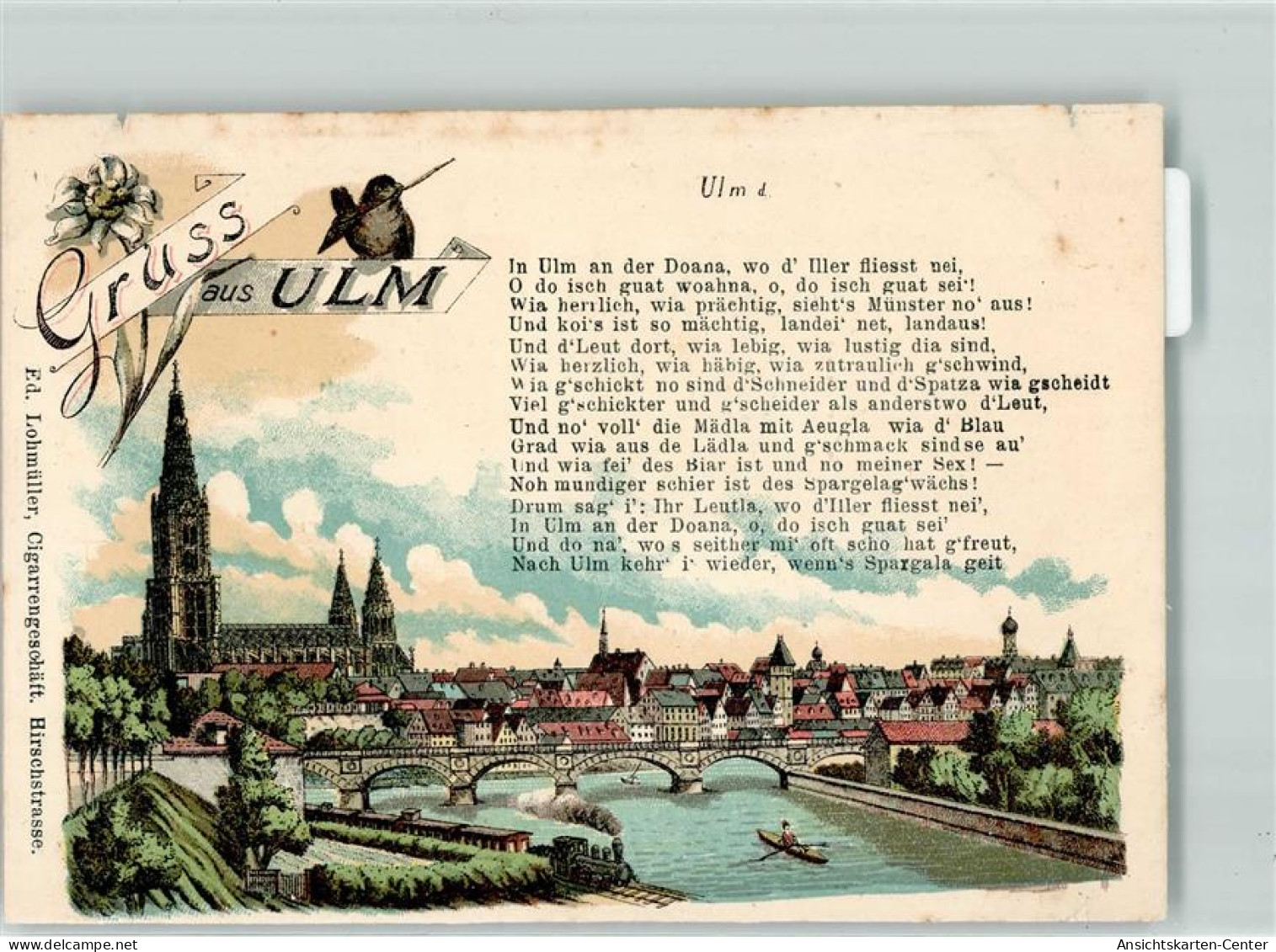 10627404 - Ulm , Donau - Ulm