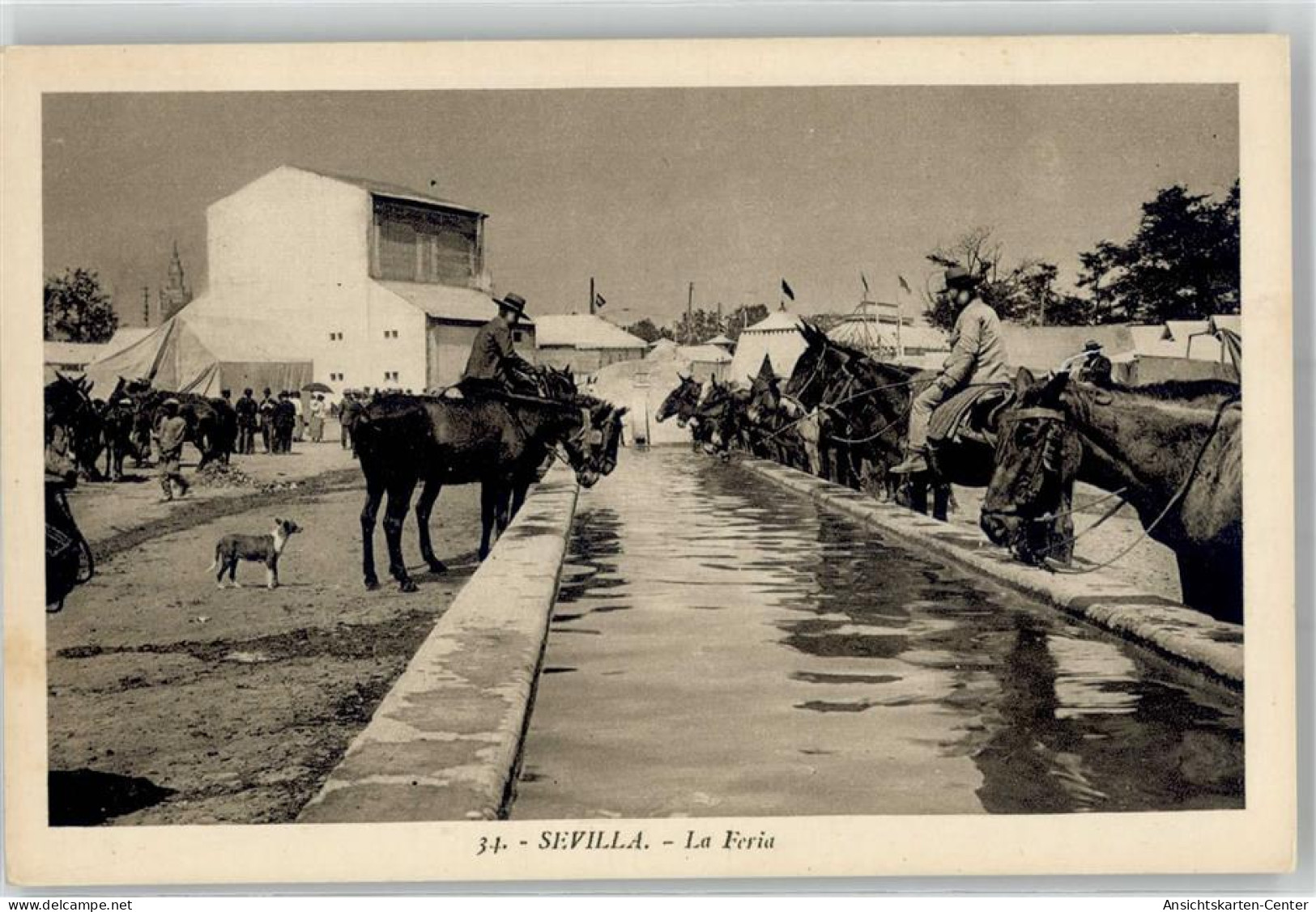 51714804 - Sevilla - Autres & Non Classés