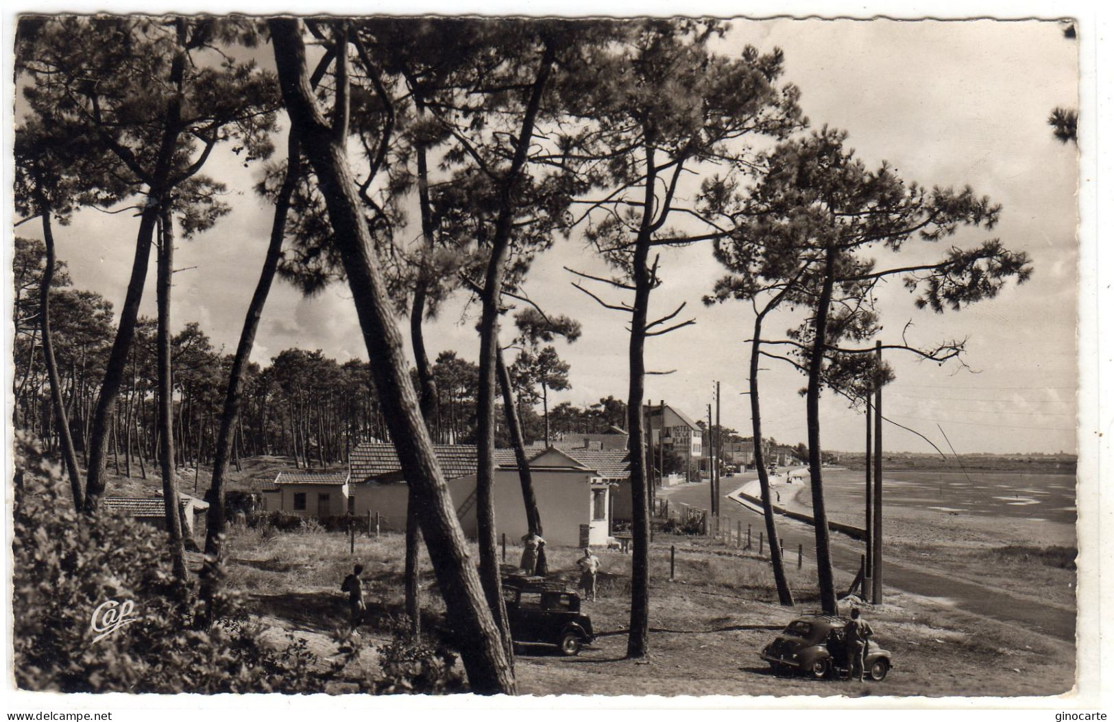 Marennes Vue Vers La Plage - Marennes