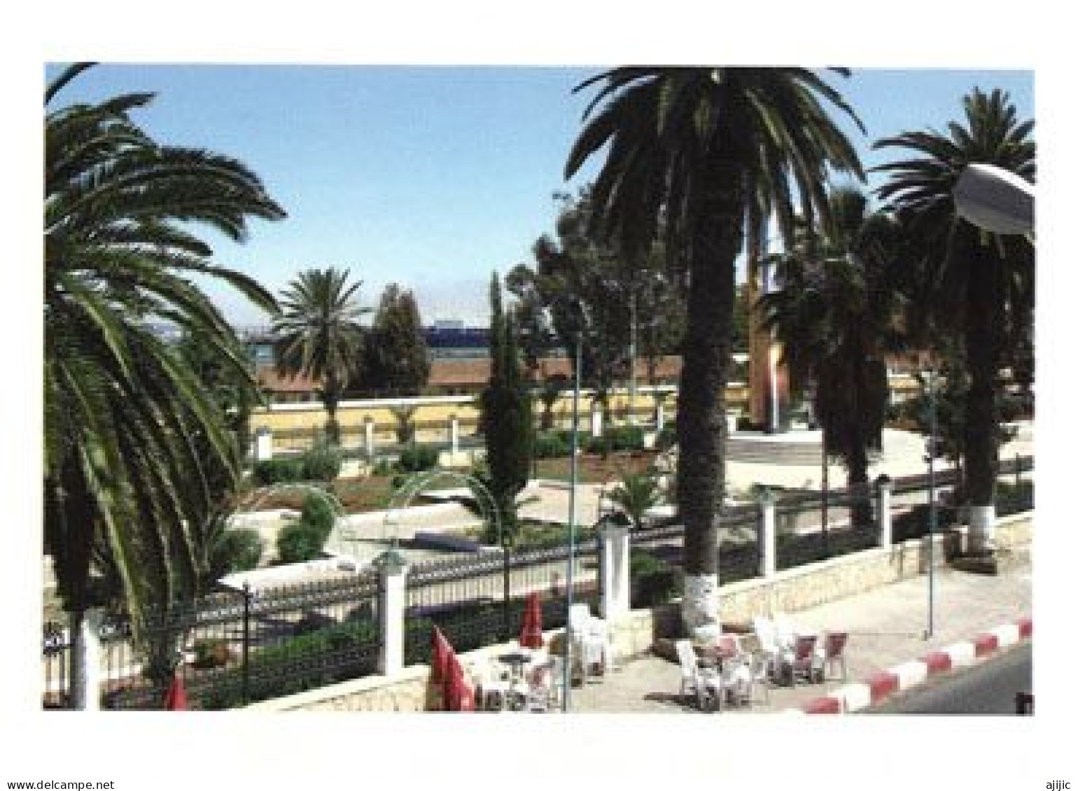 Le Jardin D'Arzew. Belle Carte Postale - Oran
