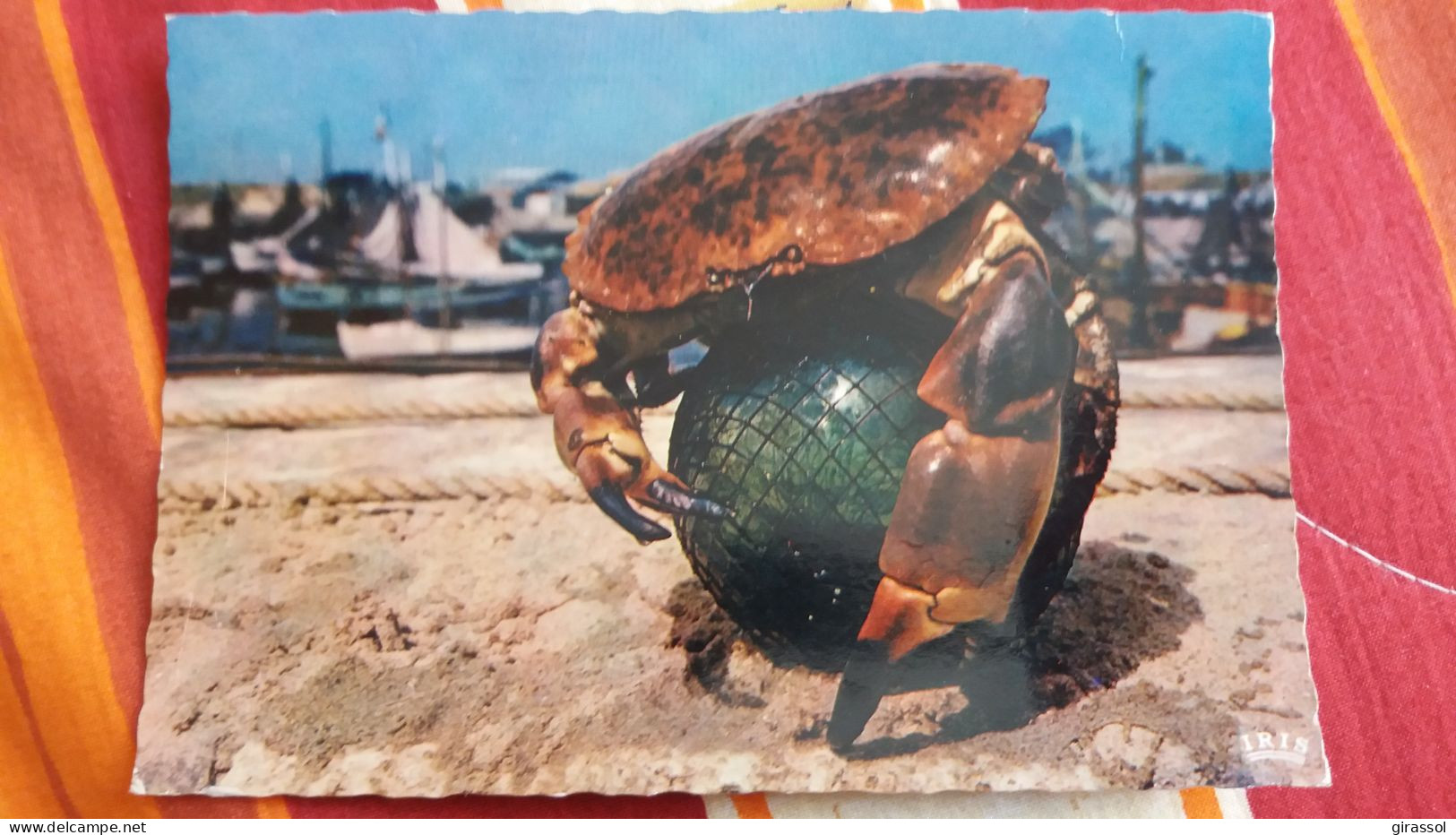 CPSM CRABE ET BOULE DE PATANQUE COTE ATLANTIQUE TOURTEAU ED THEOJAC - Bocce