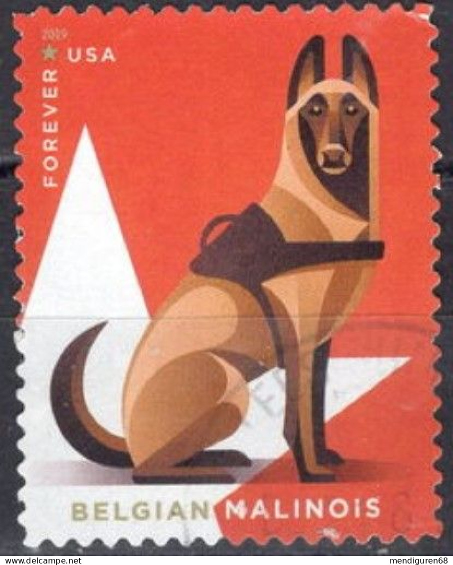 VEREINIGTE STAATEN ETATS UNIS USA 2019 WORKING DOGS: BELGIAN MALINOIS 55C USED SN 5407 MI 5644 YT 5264 SN 6021 - Gebruikt