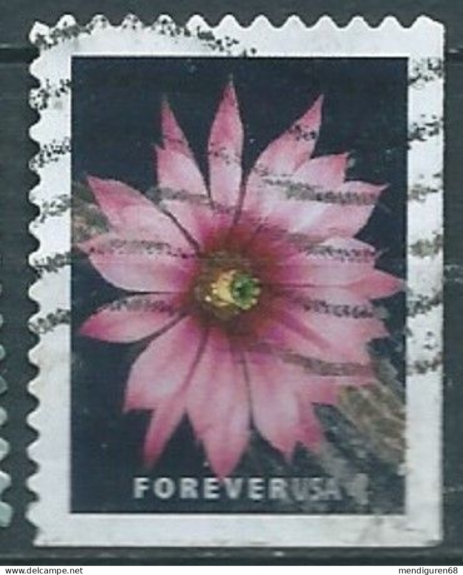 VERINIGTE STAATEN ETAS UNIS USA 2019 CACTUS FLOWERS: ECHINOCEREUS POSELGERI F USED SN 5353 MI 5569 YT 5189 - Gebruikt