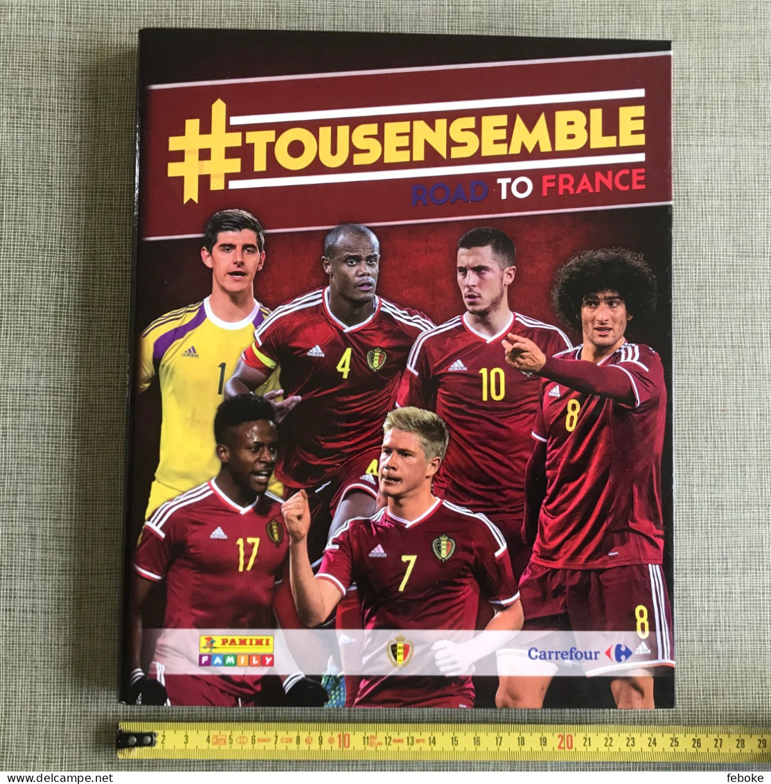 TOUSENSEMBLE ROAD TO FRANCE PANINI FAMILY CARREFOUR 2015 BELGIAN RED DEVILS - Andere & Zonder Classificatie