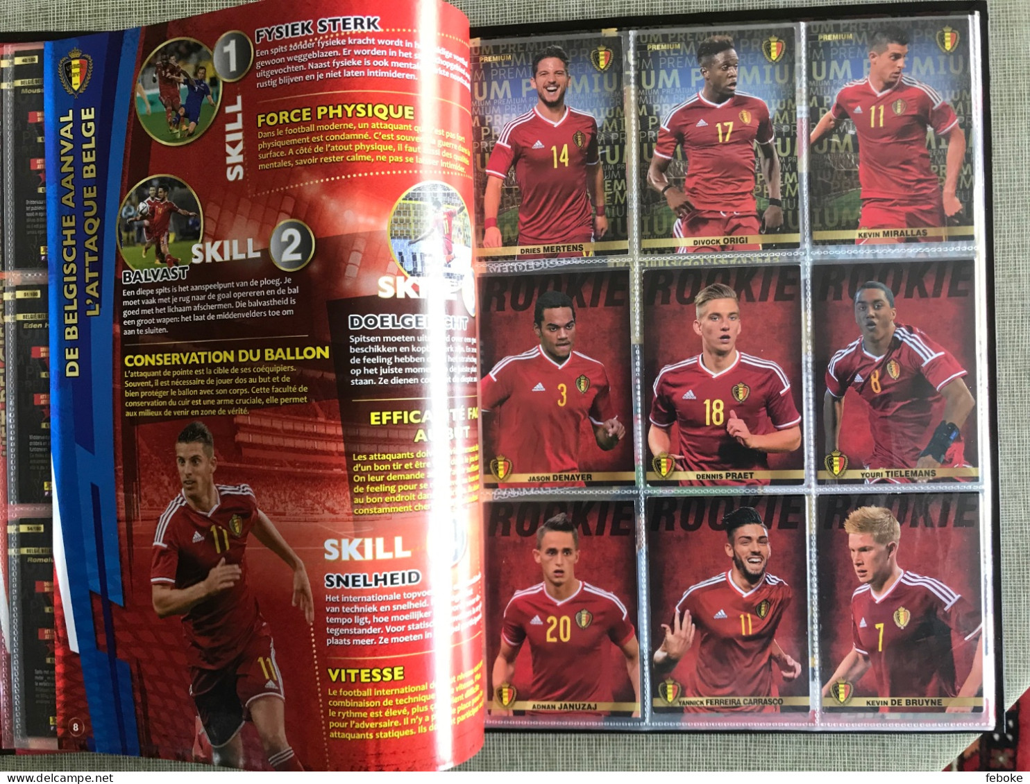 TOUSENSEMBLE ROAD TO FRANCE PANINI FAMILY CARREFOUR 2015 BELGIAN RED DEVILS - Autres & Non Classés