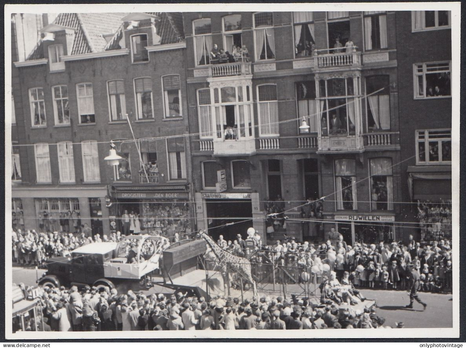 Netherlands 1955 - Amsterdam - Passa Il Circo Per Vie Della Città - Foto - Places