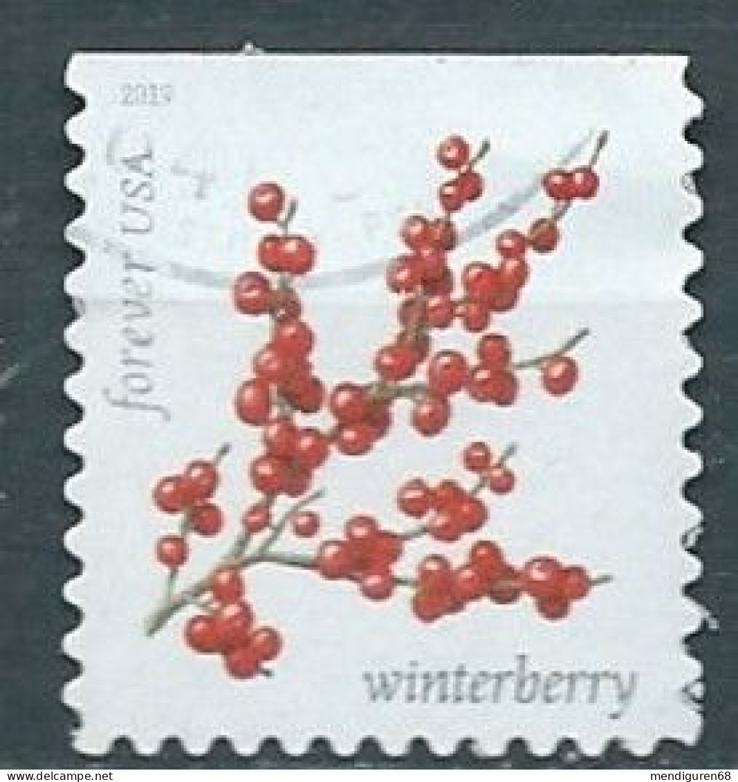 VEREINIGTE STAATEN ETATS UNIS USA 2019 WINTER BERRIES: WINTERBERRY F USED SN  5415 MI 5652 YT 5273 - Gebruikt