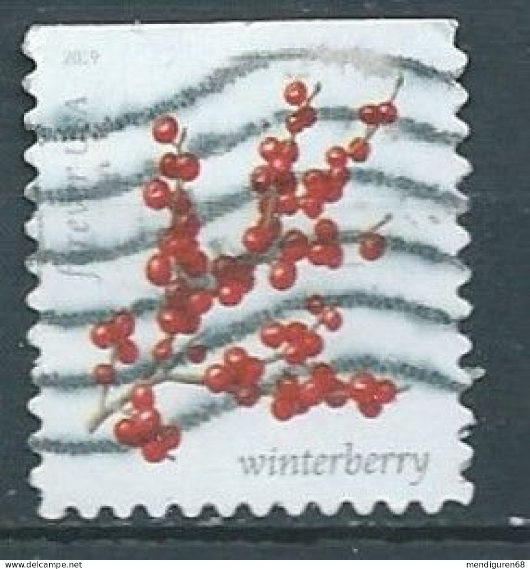 VEREINIGTE STAATEN ETATS UNIS USA 2019 WINTER BERRIES: WINTERBERRY F USED SN  5415 MI 5652 YT 5273 - Gebruikt