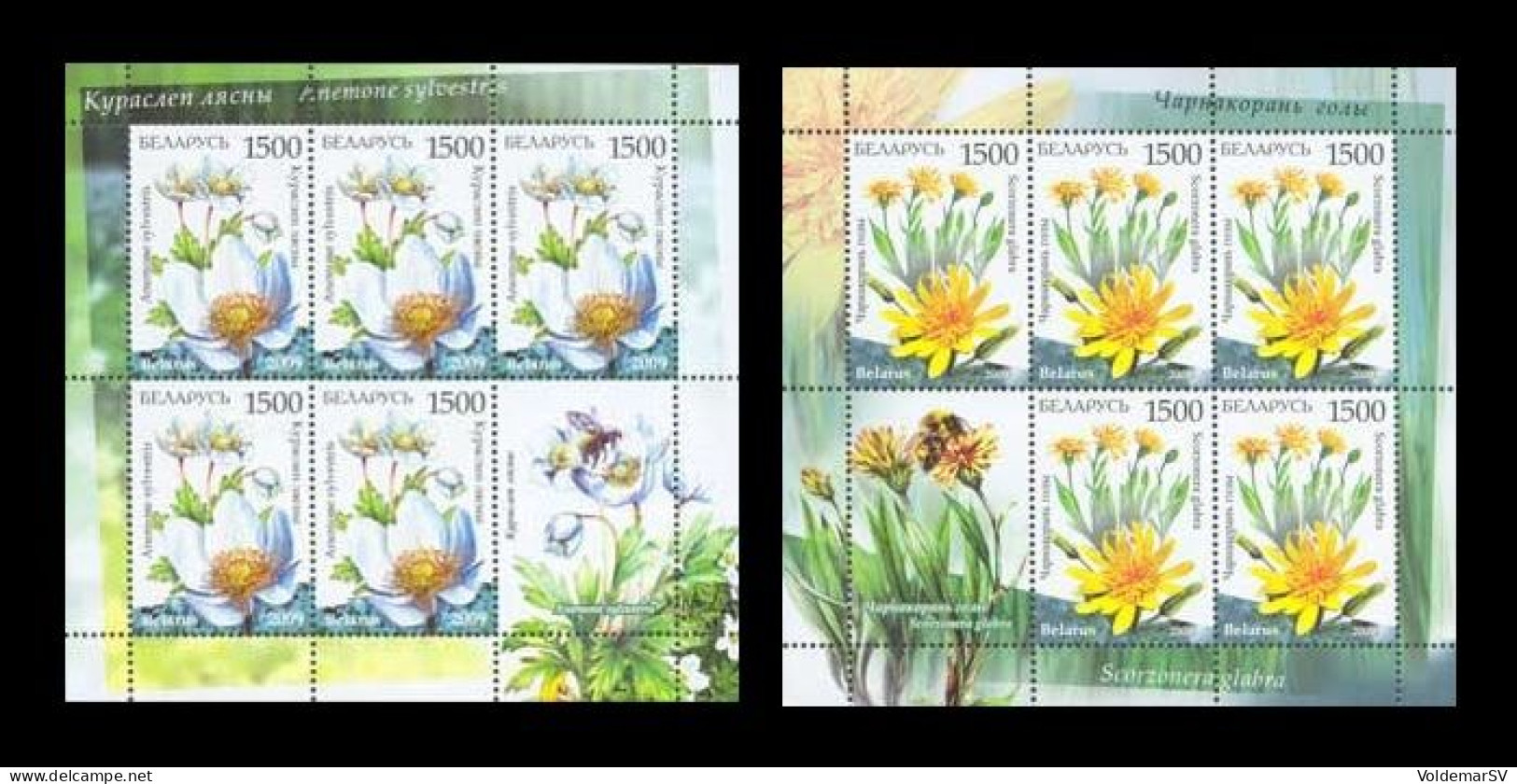 Belarus 2009 Mih. 769/70 Flora. Endangered Plants Of Belarus (2 M/S) MNH ** - Belarus