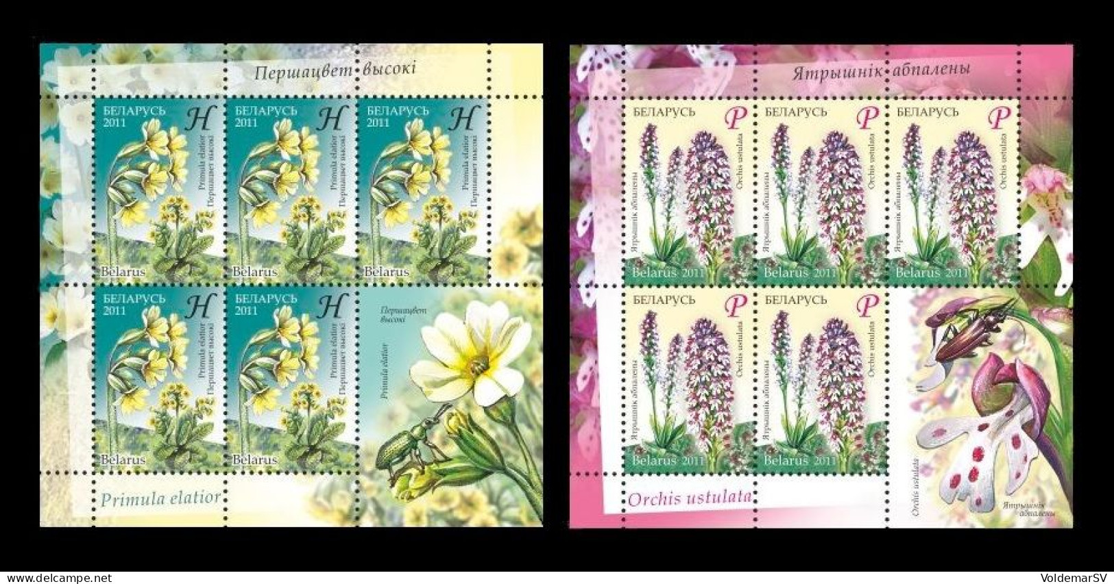 Belarus 2011 Mih. 845/46 Flora. Endangered Plants (2 M/S) MNH ** - Wit-Rusland