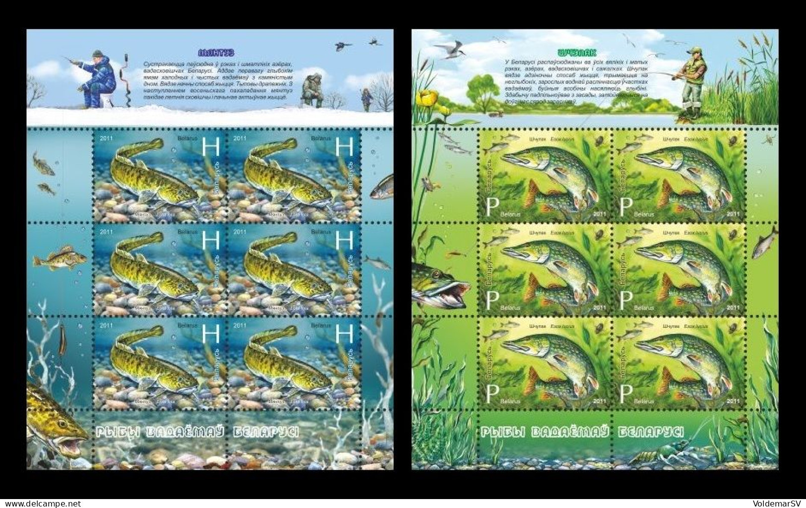 Belarus 2011 Mih. 870/71 Fauna. Fishes (2 M/S) MNH ** - Bielorrusia