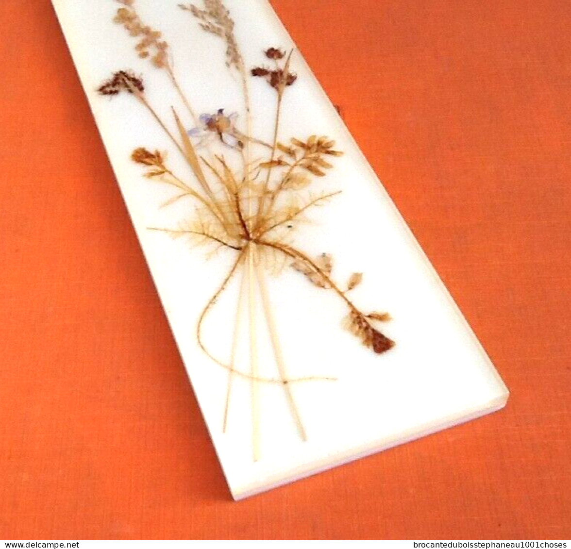 Années 1970 Herbier à Suspendre Fleurs Pressées Plexiglas - Autres & Non Classés