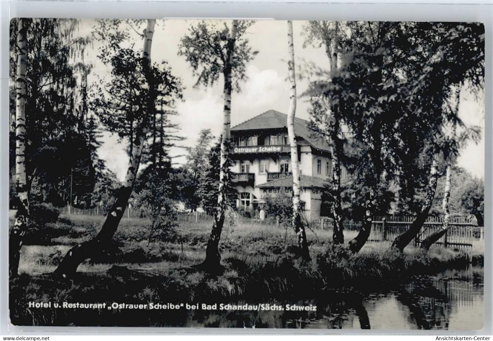 50668204 - Bad Schandau - Bad Schandau