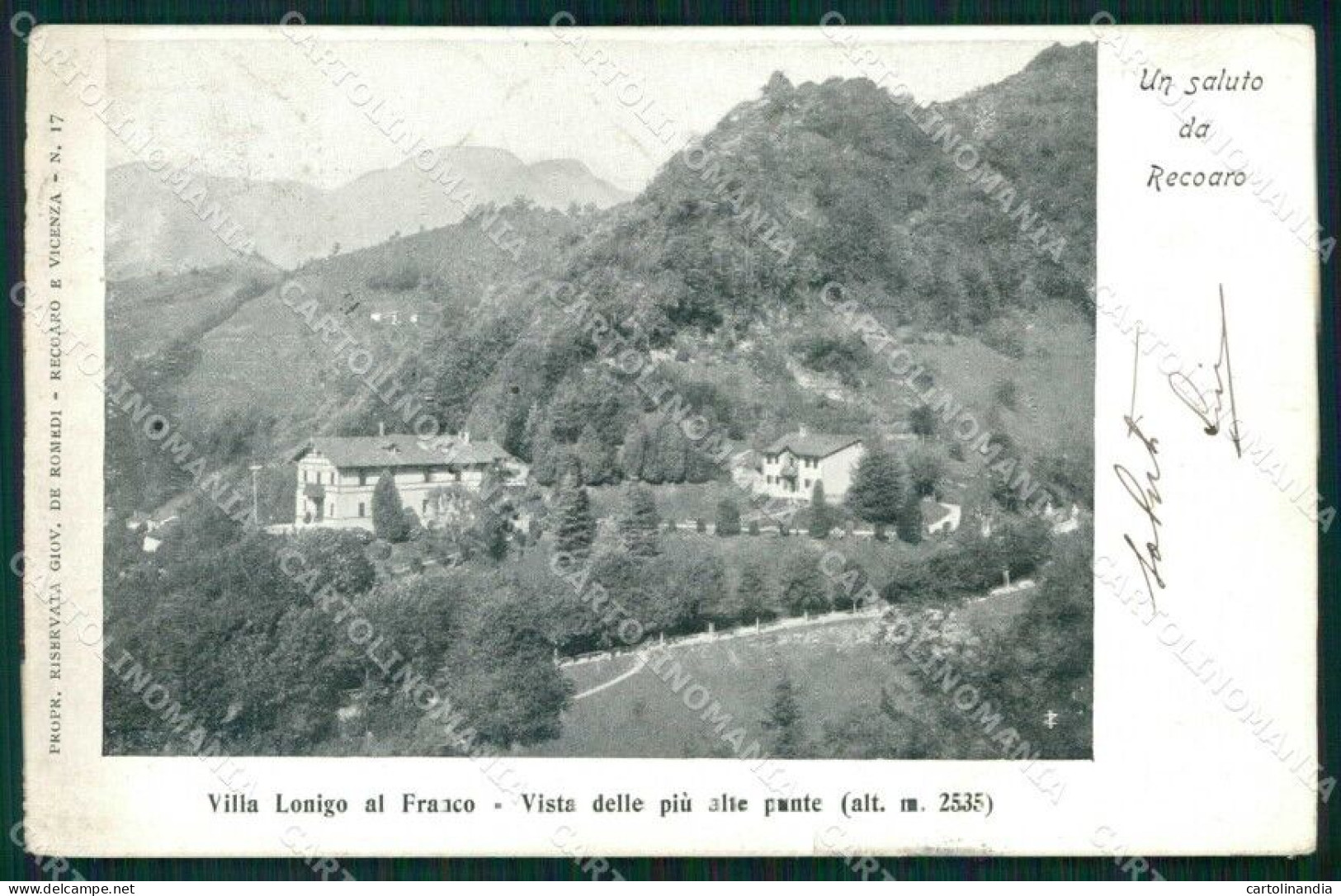 Vicenza Recoaro Terme Saluto Da Villa Lonigo Al Franco Cartolina RT0610 - Vicenza