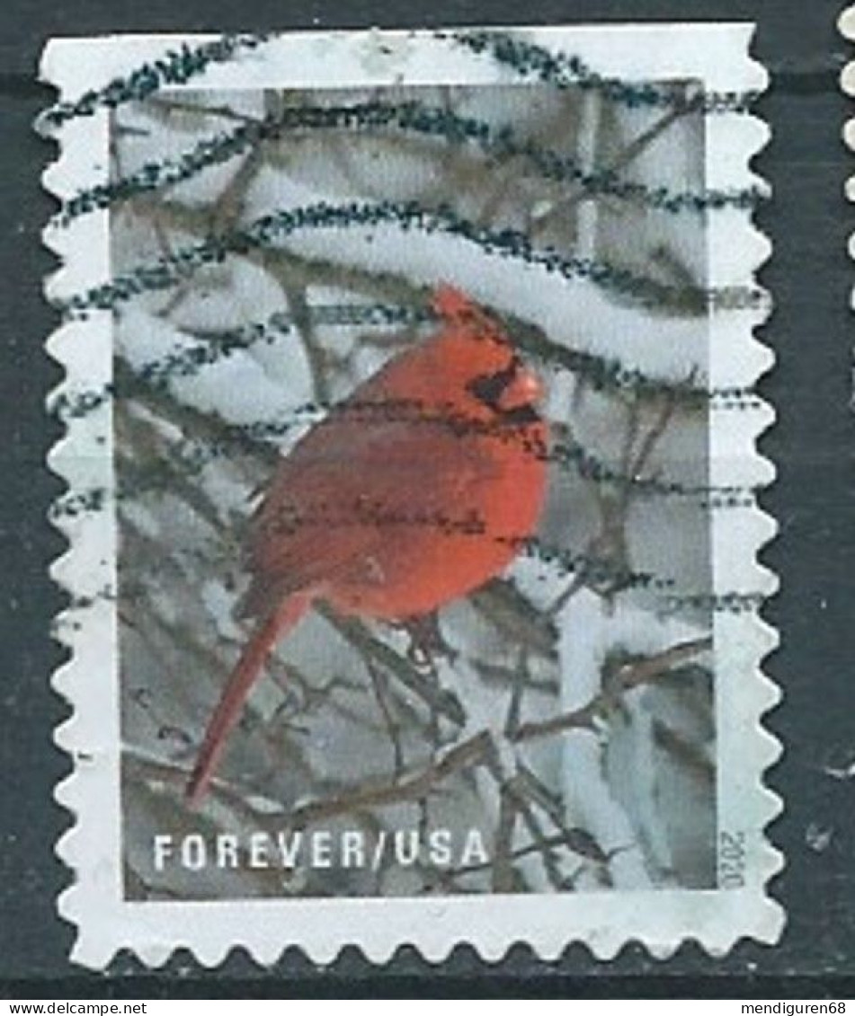 VEREINIGTE STAATEN ETATS UNIS USA 2020 WINTER SCENES: CARDINAL F USED SC 5532 MI 5770 YT 5379 - Gebruikt