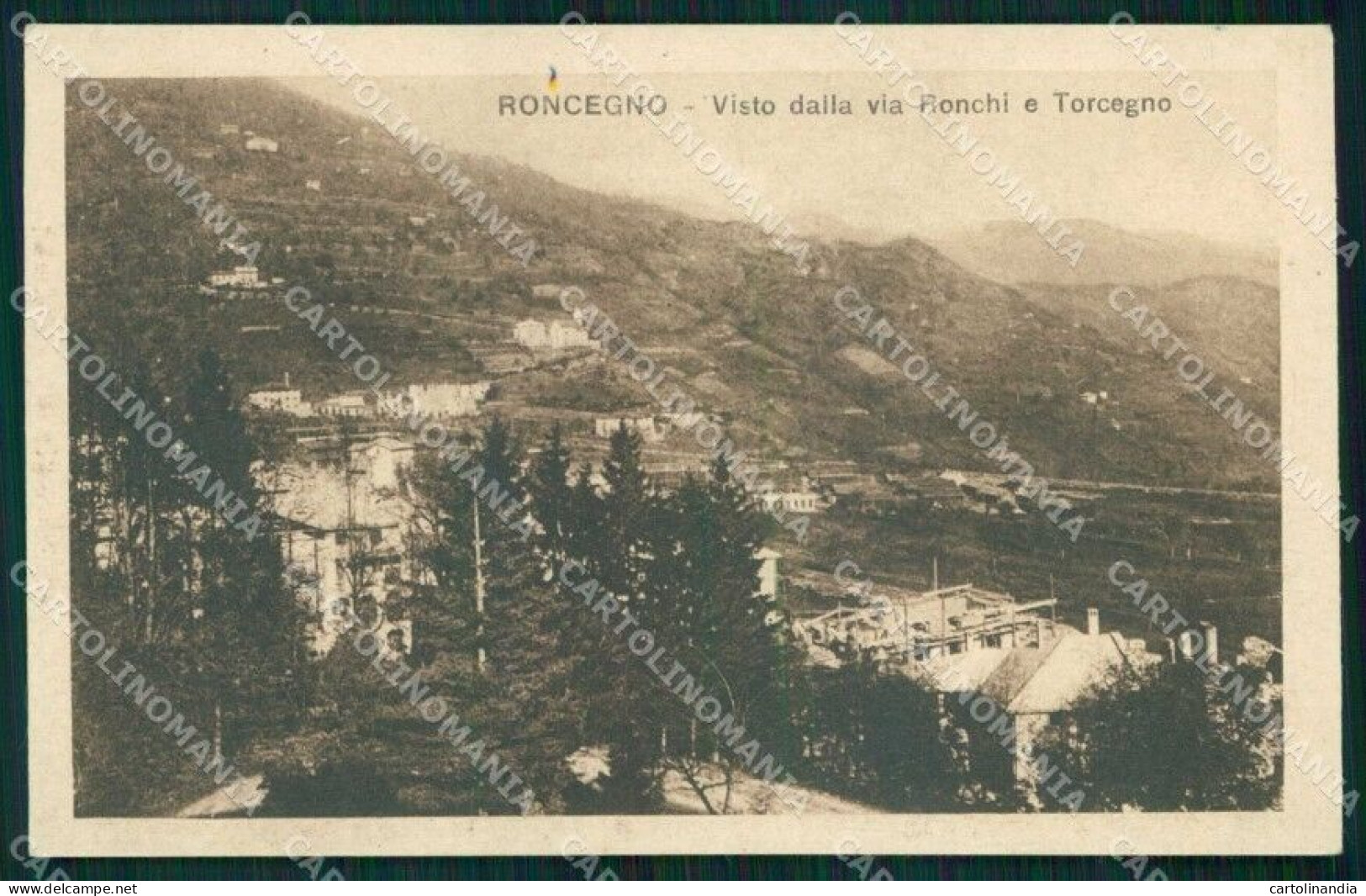 Trento Roncegno Terme Veduta Dalla Via Ronchi E Torcegno Cartolina RT0585 - Trento