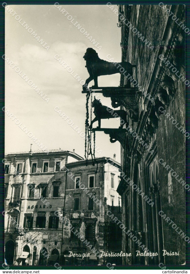 Perugia Città FG Foto Cartolina KB4539 - Perugia