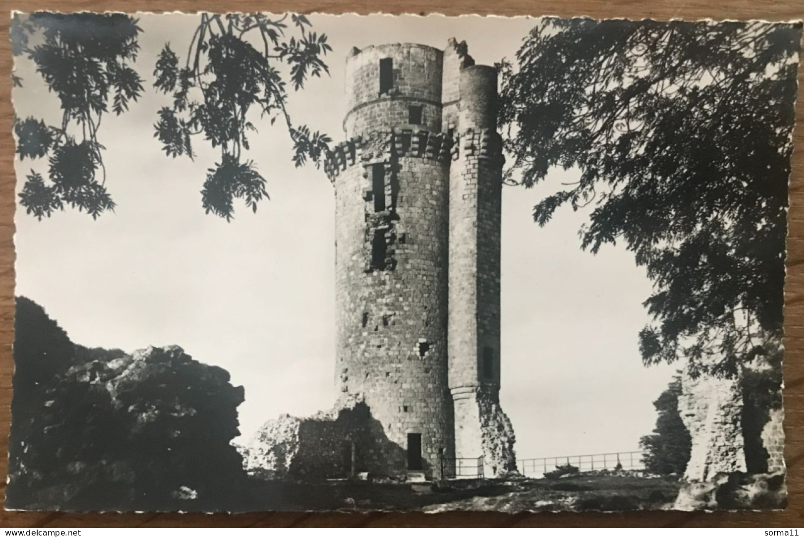 CPSM MONTLHERY 91 La Tour Et Les Ruines D'un Château - Montlhery