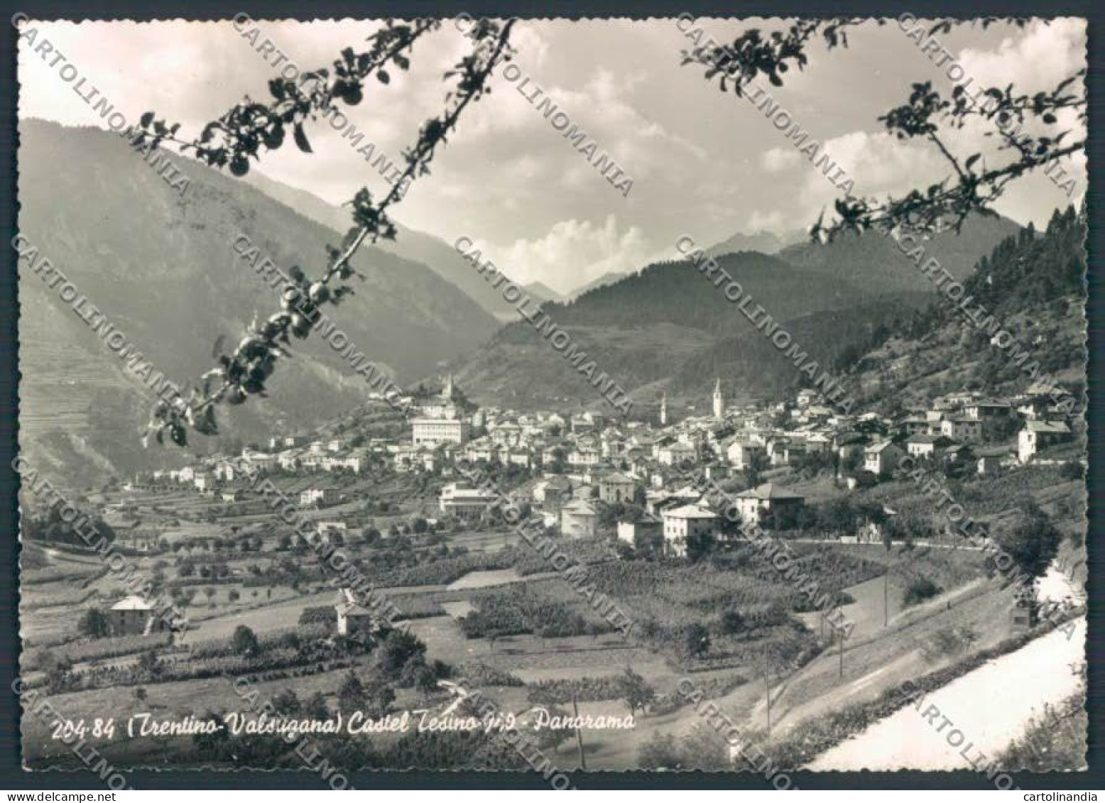 Trento Castello Tesino GRINZA CARTA Foto FG Cartolina ZF2247 - Trento